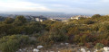 La crête des Alpilles