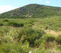 Depuis le sommet de La Tour