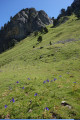 Dernier raidillon