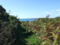 Dernier sentier