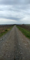 Dernière ligne droite