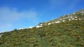 derniére montée vers le sommet