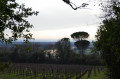 Dernière vue avant de plonger