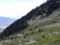 Derniers mètres avant le chalet de l'Arbesserie