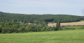 Derrière la végétation le village de Ferreux...