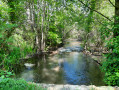Derrière la végétation, un petit pont, la rivière l'Ardusson "un trou à baignade" près du village de Ferreux...