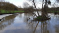 Derrière le moulin du Bas Charboneau