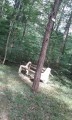 Des bancs tout au long du parcours