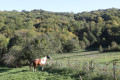 Le tour d'Argain à Montesquieu-Volvestre Le tour d'Argain à Montesquieu-Volvestre