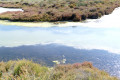 Balade à la découverte des flamants roses à Mireval Balade à la découverte des flamants roses à Mireval