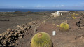 Tour de l'Islote del Mojon au départ d'El Golfo