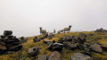 Des moutons au plomb du Cantal