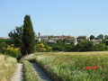 Des paysages qui rapellent la Toscane Des paysages qui rapellent la Toscane