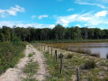 Des paysages typiques de Sologne