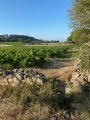 Des rocs et des vignes