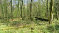 Des ruines
