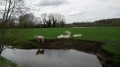 Entre terres Picardes et Somme Entre terres Picardes et Somme