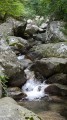 Des vasques pour se rafraichir