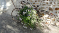 Des vélos fleuris