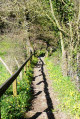 descente à la rivière