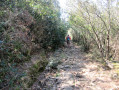 Descente dans les cailloux