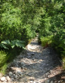 Descente Combe des Mermes Descente Combe des Mermes
