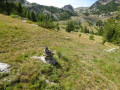 Descente dans l'alpage