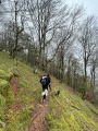 Descente dans la forêt