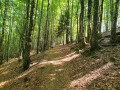 Descente du Col de La Serre