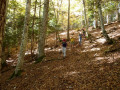 Descente du point n° 9