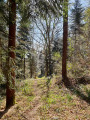 Descente du sentier