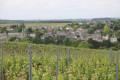 Descente en direction de Rablay sur Layon