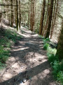 Descente fin de randonnée