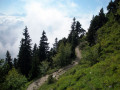 Descente par le chemin d'estive