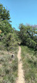 Descente sur Jomare.