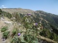 Descente sur la Baisse de Camp-Vue sur la PT des 3 communes