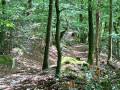 Descente sur le chemin des caves.