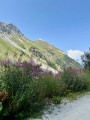 Descente sur les Prioux