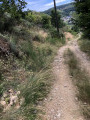 Descente toujours