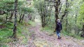 Descente vers Barthelet Descente vers Barthelet