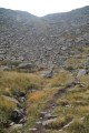 Descente vers l'étang du Roumazet