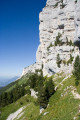 descente vers la Balme