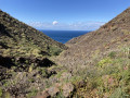 Playa de Güigüi