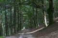 Descente vers le lac