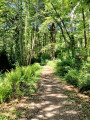 descente vers le Leff