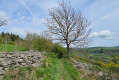 Descente vers Montusclat