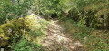 Descente vers Saint Chély