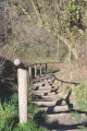 Descente
