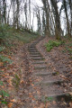 Descente