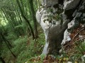 Descente